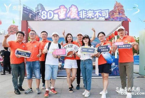 岚图，仍困在迷途
