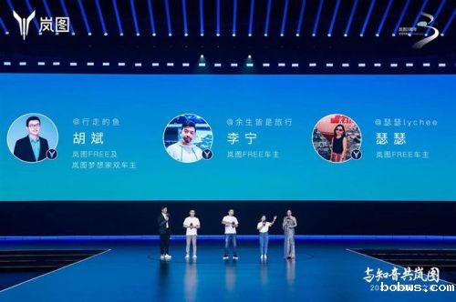 岚图，仍困在迷途